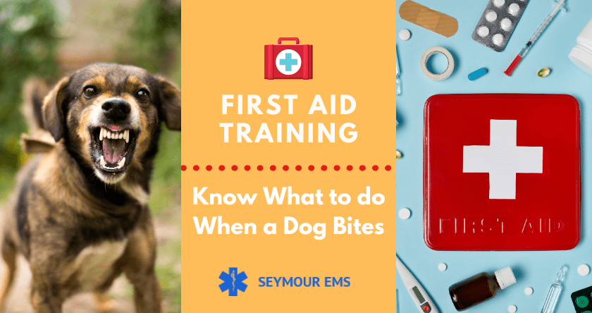 First Aid Training: How To Treat Dog Bites