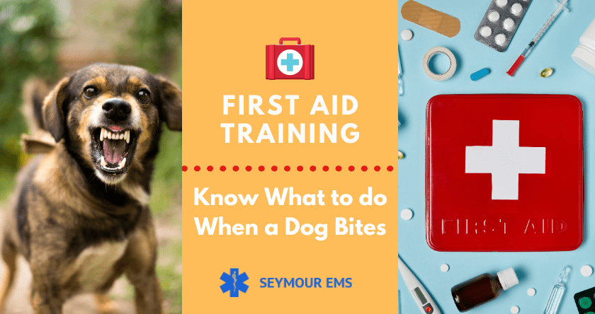 first aid training