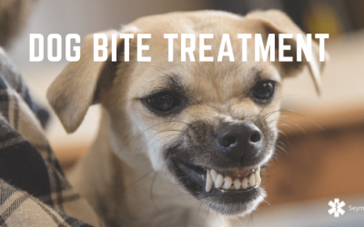 Dog Bite Treatment: 7 Essential Steps