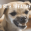 Dog Bite Treatment: 7 Essential Steps